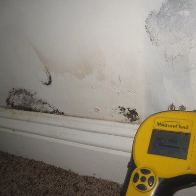 wall with mold and a lot of moisture inside